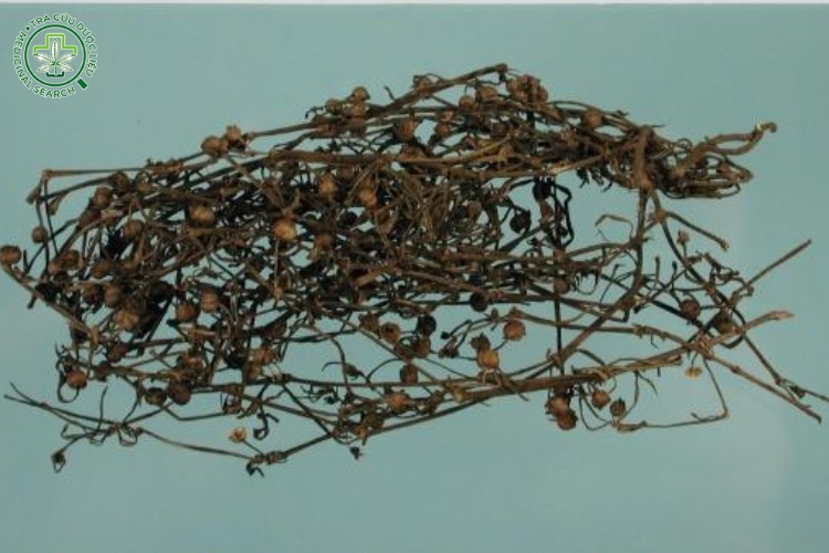 Bộ phận dùng 1 Bộ phận dùng 1