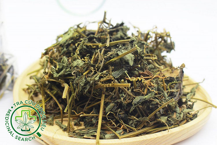 Cách bảo quản để giữ trọn dược tính của Giảo cổ lam 1