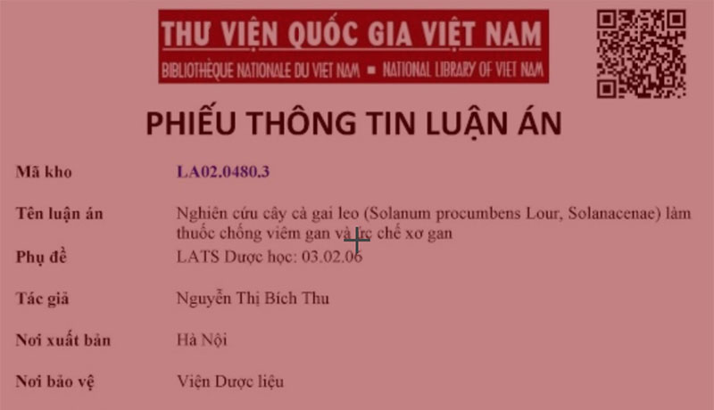 3. Luận án tiến sĩ (1998–2002) Nguyễn Thị Bích Thu, nghiên cứu cây Cà gai leo (Solanum procumbens Lour.) làm thuốc ch 1