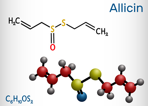 Allicin và các sản phẩm chứa Allicin 1