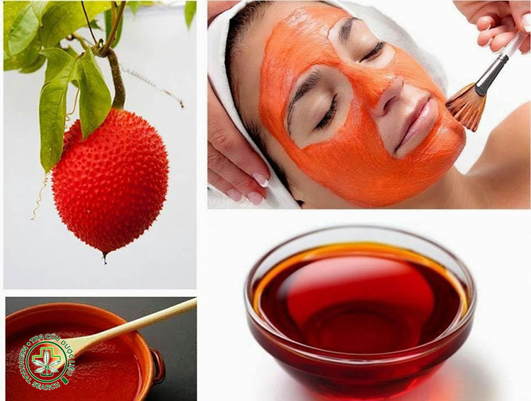 Cách sử dụng dầu gấc hiệu quả 1