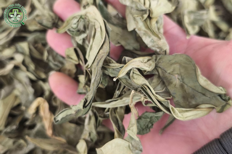 Nơi sống và thu hái 2 Nơi sống và thu hái 2