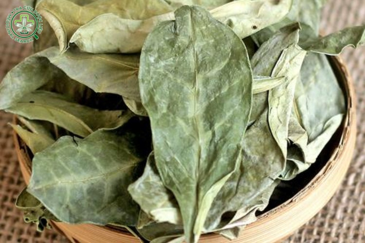 Lưu ý khi sử dụng cam xũng để trị bệnh 1 Lưu ý khi sử dụng cam xũng để trị bệnh 1