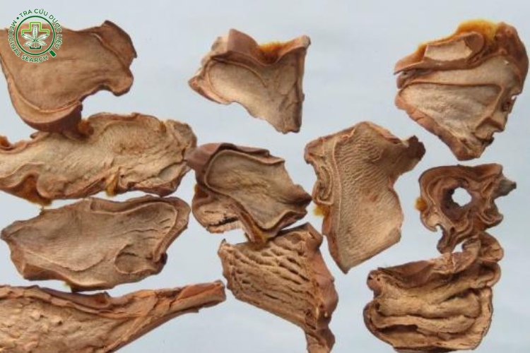 Thành phần hoá học 1 Thành phần hoá học 1