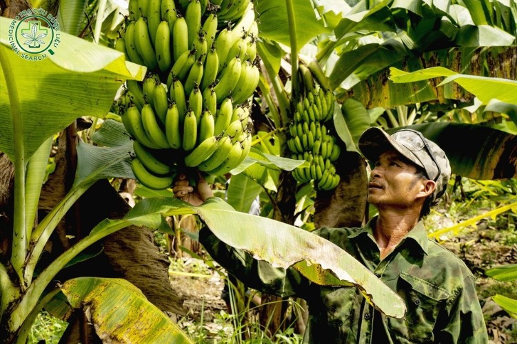 2.12. Thu Hoạch 1 2.12. Thu Hoạch 1