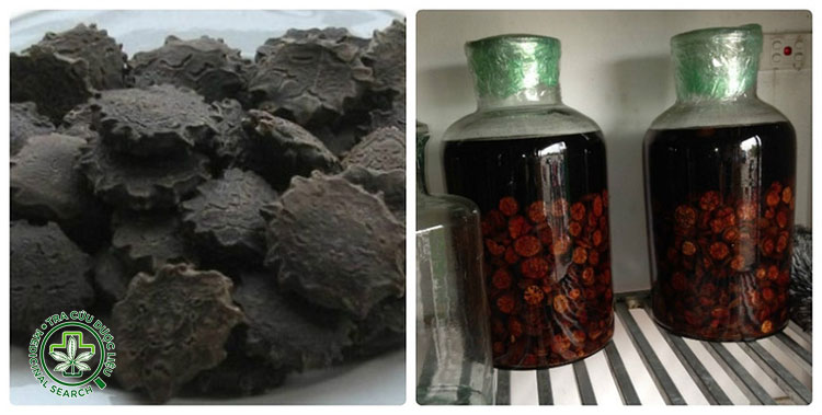 Cách sử dụng rượu hạt gấc đúng cách hiệu quả 1