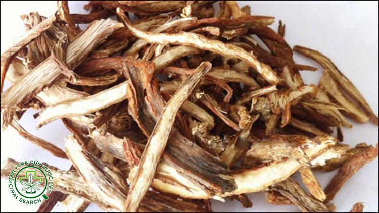 Hình ảnh nhận biết đan sâm khô 2