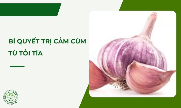 TIP 7 bí quyết trị cảm hiệu quả từ củ tỏi tía 1