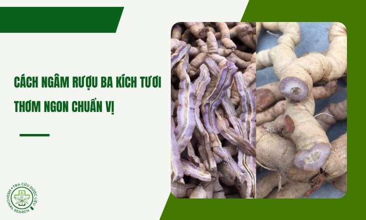 Cách ngâm rượu ba kích tươi thơm ngon nhất 1