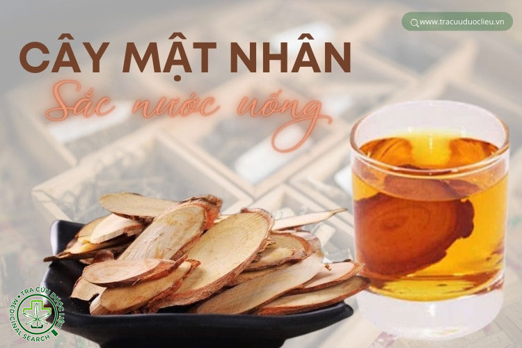 Rễ cây mật nhân thường được sử dụng thế nào? 1