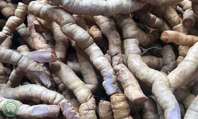 Tác dụng của ba kích ngâm rượu là gì? 1