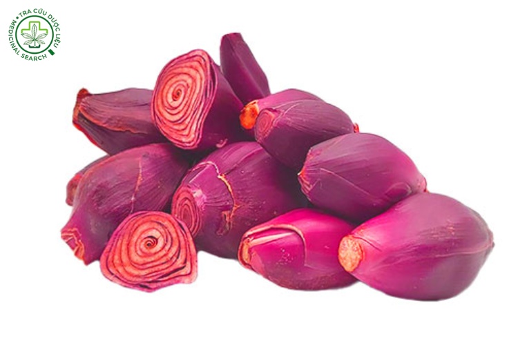 3.6. Thu hoạch và bảo quản 1