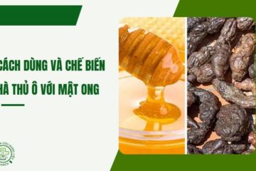 Hướng dẫn cách dùng hà thủ ô và mật ong Hướng dẫn cách dùng hà thủ ô và mật ong