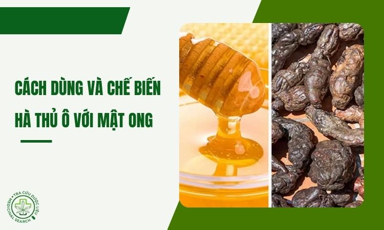 Hướng dẫn cách dùng hà thủ ô và mật ong 1
