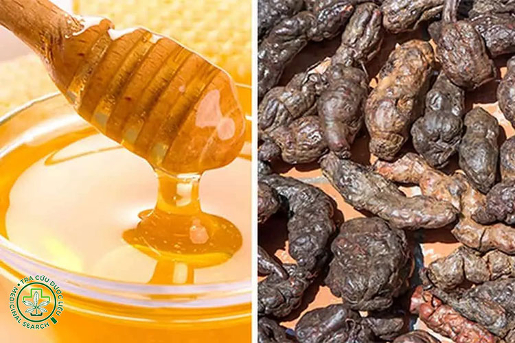 Một số lưu ý khi dùng hà thủ ô mật ong 1