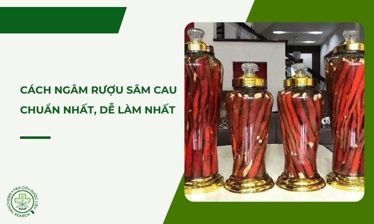 Cách ngâm rượu sâm cau chuẩn nhất, dễ làm nhất 1