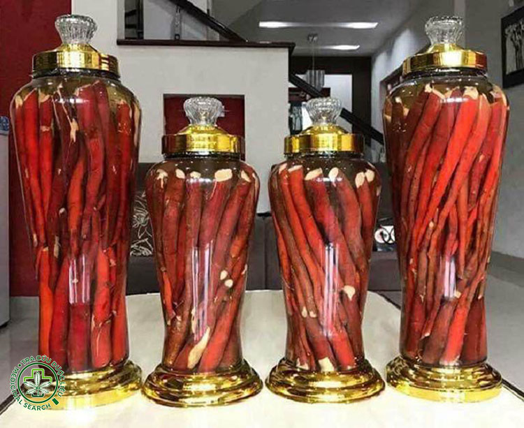 Lưu ý khi ngâm rượu sâm cau 1