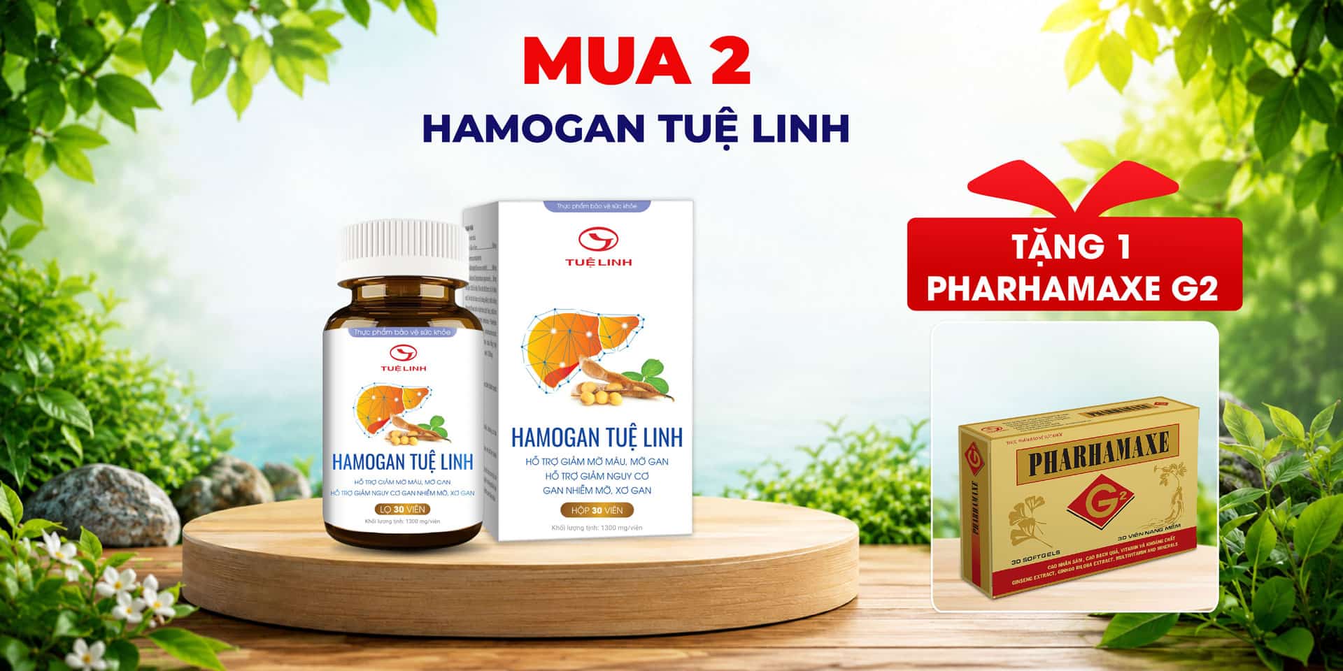 Hình ảnh chi tiết về cây Trinh nữ hoàng cung 8