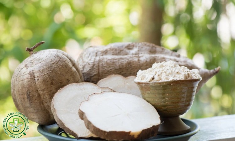 Lưu ý khi sử dụng Sâm tố nữ 1