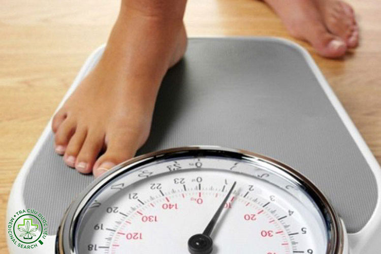 Giúp duy trì vóc dáng và sức khỏe xương 1