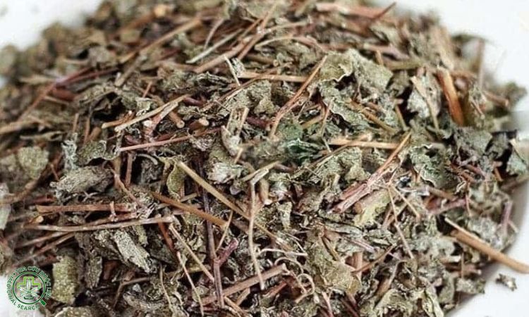 Đóng gói và bảo quản tại chỗ 1