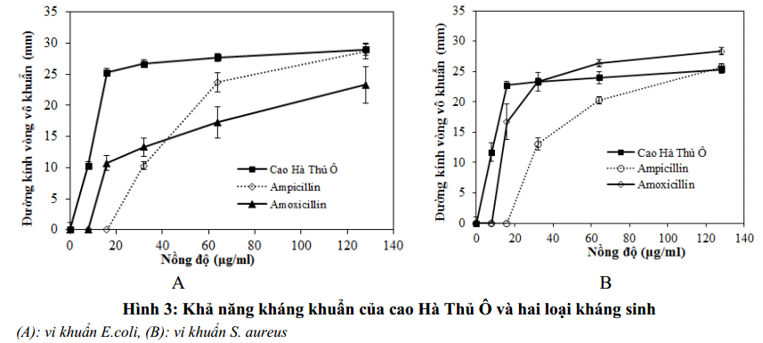 Khảo sát khả năng kháng khuẩn của cao methanol cây Hà Thủ Ô 3