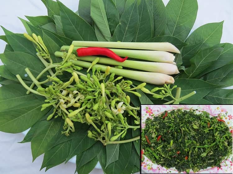 Hoa đu đủ đực - “món ăn chứa vị thuốc” 1