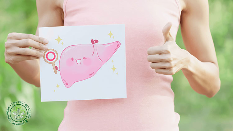 Hỗ trợ điều trị bệnh gan và giải độc gan 1