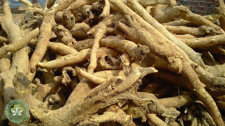 Cách sử dụng mật gấu theo từng bệnh 1