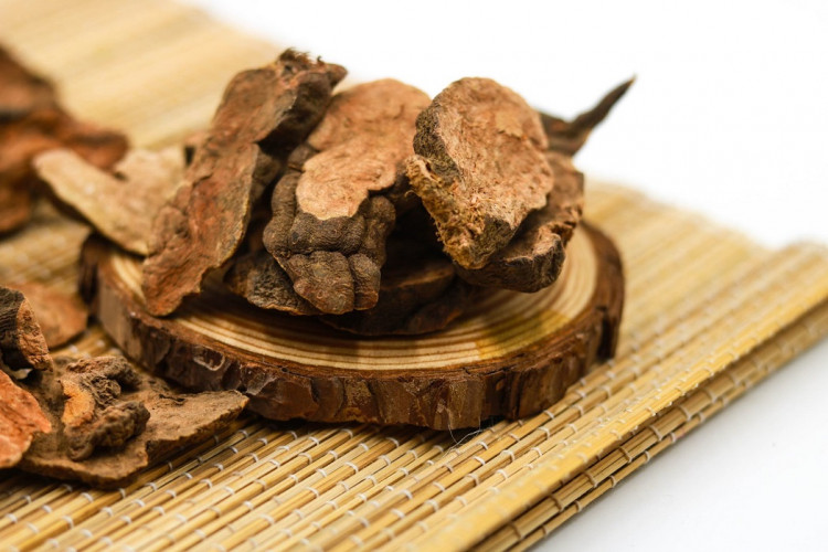 Mua bán cây thuốc dược liệu hà thủ ô 2