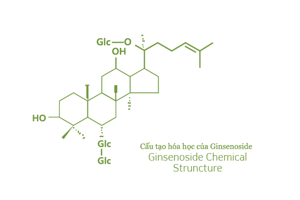 2. Hoạt chất ginsenoside Rb1 1
