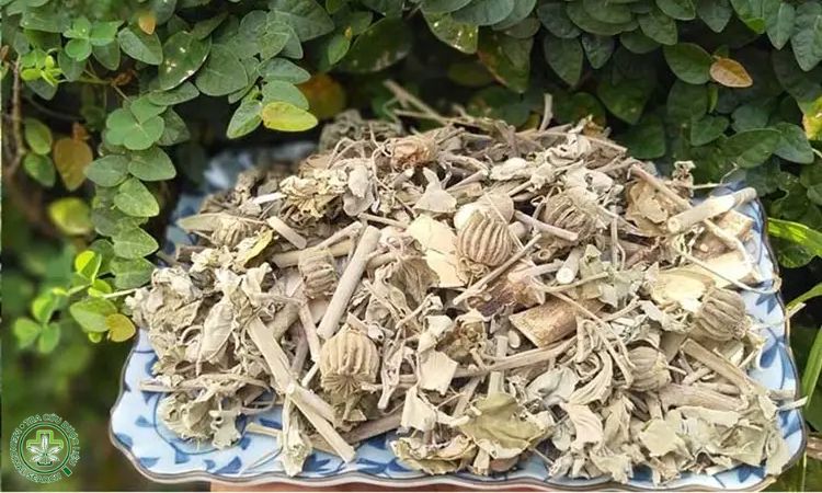 7. Thu hoạch, sơ chế và bảo quản 1