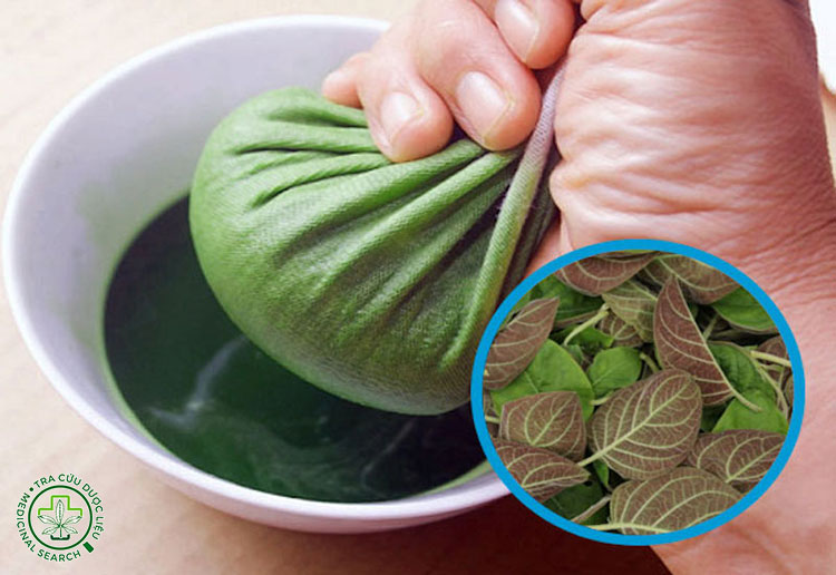 Hỗ trợ tiêu hóa 1