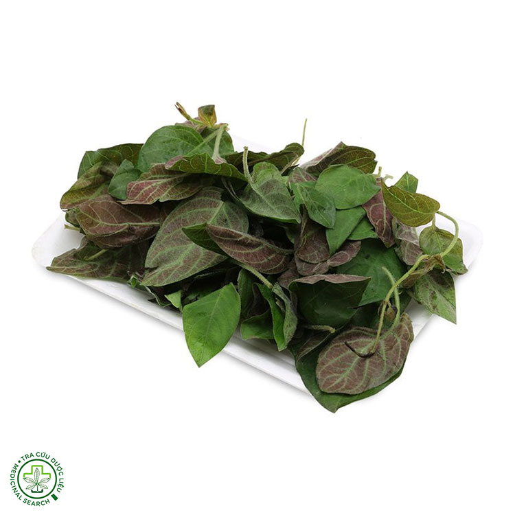 Thanh nhiệt, giải độc cơ thể 1