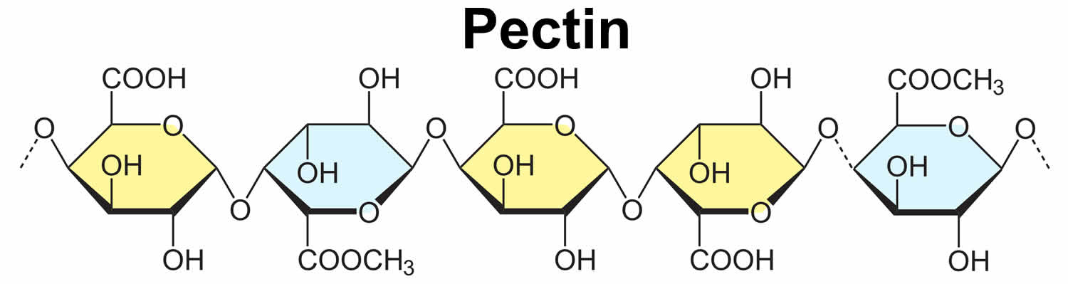 Pectin – vị thuốc quý có trong cùi bưởi, vỏ hạt bưởi 1
