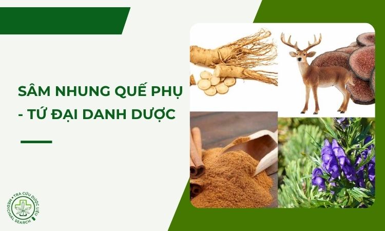 Sâm Nhung Quế Phụ - Tứ đại danh dược trong Đông Y 1