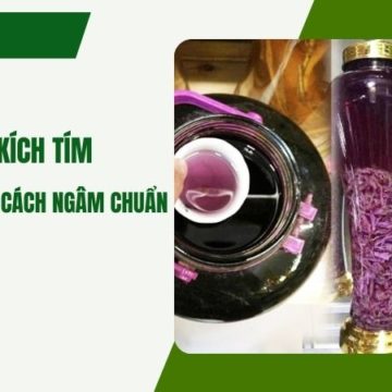 Hướng dẫn cách ngâm rượu ba kích tím ngon đúng chuẩn