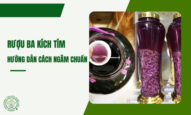 Hướng dẫn cách ngâm rượu ba kích tím ngon đúng chuẩn 1