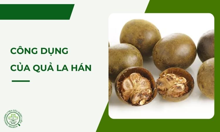Công dụng của quả La hán 1