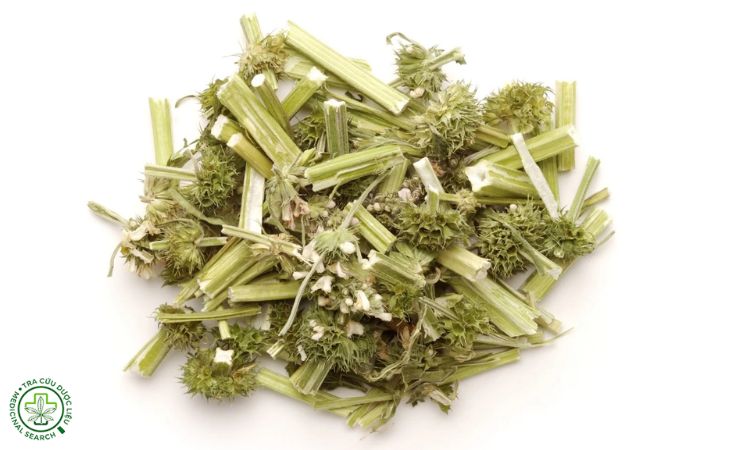 9. Thời điểm thu hái 1 9. Thời điểm thu hái 1