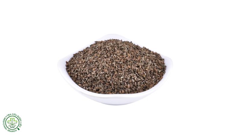 3. Chọn hạt giống 1 3. Chọn hạt giống 1