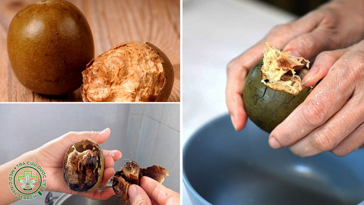 Cách sử dụng quả La hán hiệu quả 1