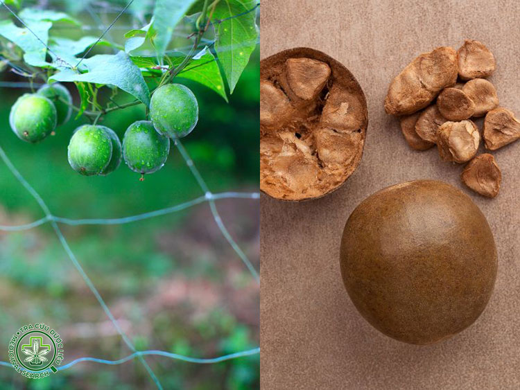 1. Hỗ trợ kiểm soát đường huyết 1