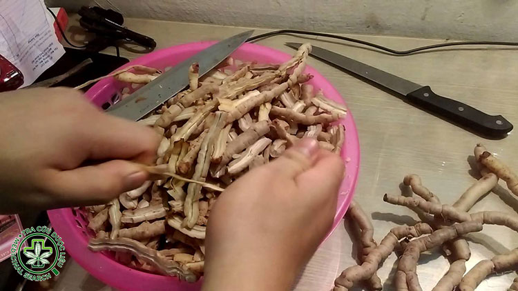 Rút lõi ba kích 1