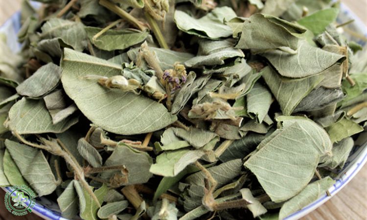 Thu hoạch chế biến 1
