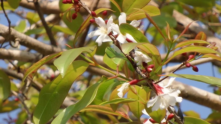 ĐẶT VẤN ĐỀ 1 ĐẶT VẤN ĐỀ 1