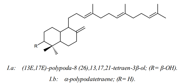 Một số thành phần hóa học trong cây đỏ ngọn 1 Một số thành phần hóa học trong cây đỏ ngọn 1