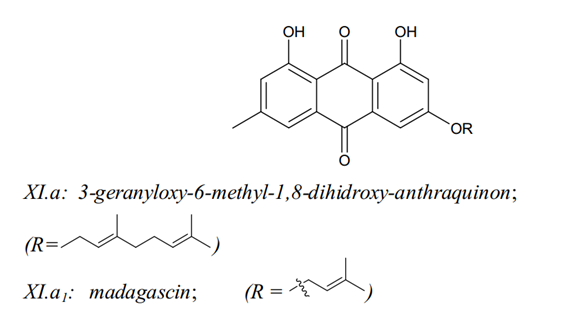 Một số thành phần hóa học trong cây đỏ ngọn 13 Một số thành phần hóa học trong cây đỏ ngọn 13