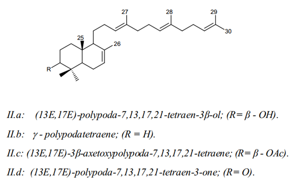 Một số thành phần hóa học trong cây đỏ ngọn 2 Một số thành phần hóa học trong cây đỏ ngọn 2