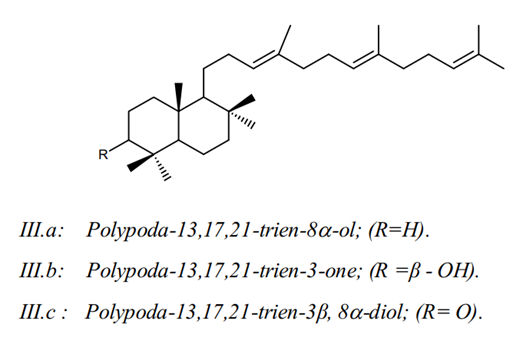 Một số thành phần hóa học trong cây đỏ ngọn 3 Một số thành phần hóa học trong cây đỏ ngọn 3